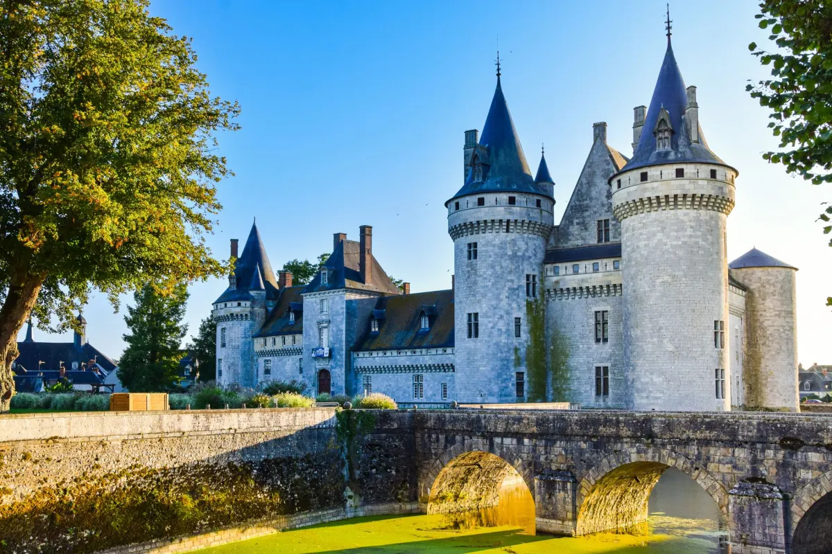 Cépages de la Loire : quels vins découvrir selon vos goûts