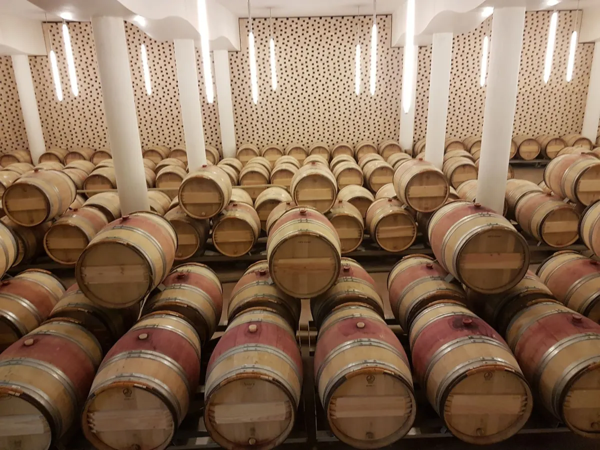 Visiter un domaine viticole pour la première fois : 5 conseils indispensables